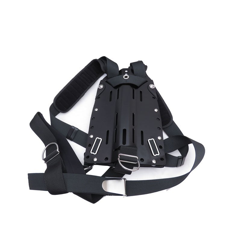60054 Backplate With Dir Harness - image 2