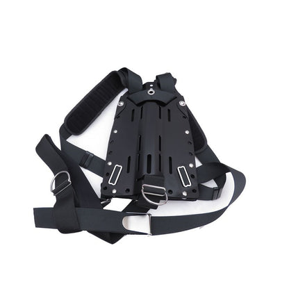 60054 Backplate With Dir Harness - image 2