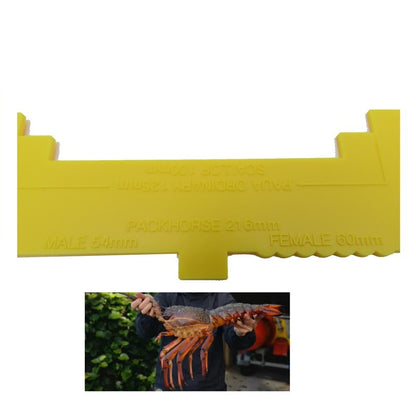 11183 Lobster Gauge - image 4